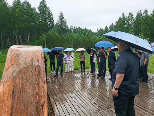 王尚海紀(jì)念林參觀