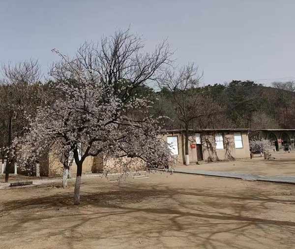 西柏坡紅色基因激活干部隊(duì)伍建設(shè)活力